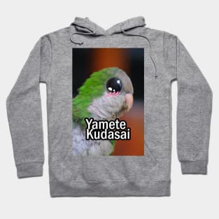 Kawaii parrot Hoodie